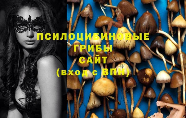 гашик Инта