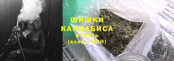 гашик Инта