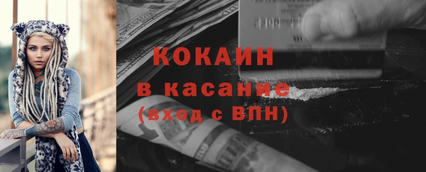 гашик Инта