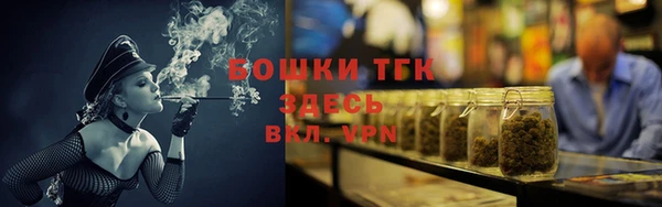 гашик Инта