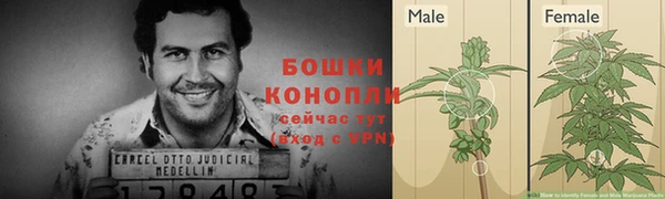 прущий лед Инсар
