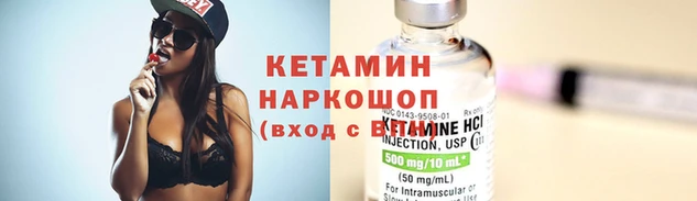 гашик Инта