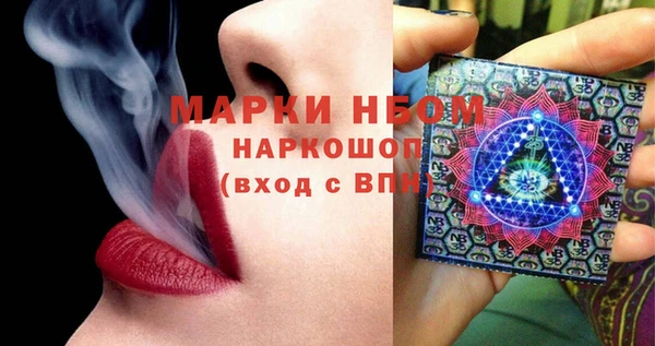 гашик Инта
