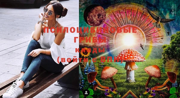 соль ск Иннополис