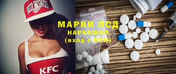 прущий лед Инсар