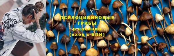 прущий лед Инсар