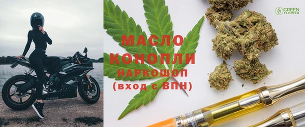прущий лед Инсар