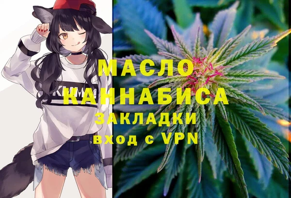прущий лед Инсар