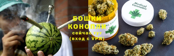 гашик Инта