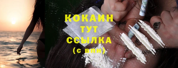 гашик Инта