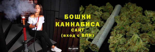 прущий лед Инсар
