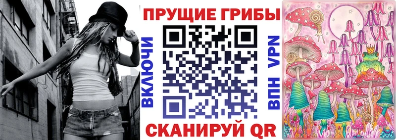 Галлюциногенные грибы Psilocybe  Купить закладки  Белебей 